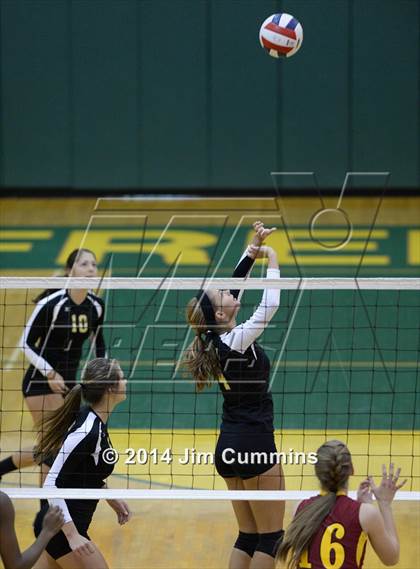 Thumbnail 2 in Schaumburg @ Fremd photogallery.