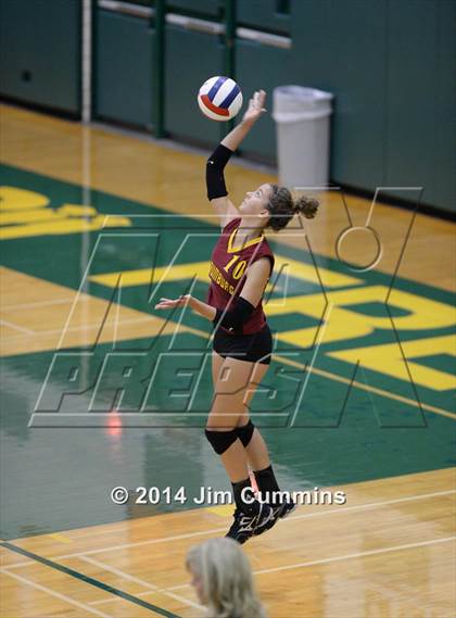 Thumbnail 1 in Schaumburg @ Fremd photogallery.