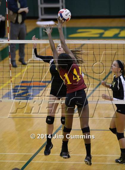 Thumbnail 2 in Schaumburg @ Fremd photogallery.
