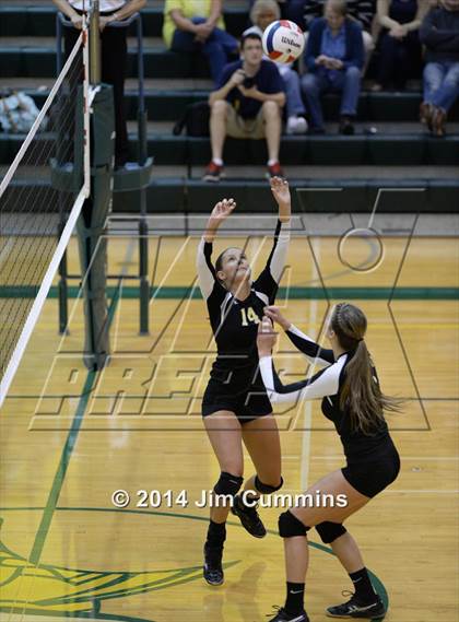 Thumbnail 3 in Schaumburg @ Fremd photogallery.