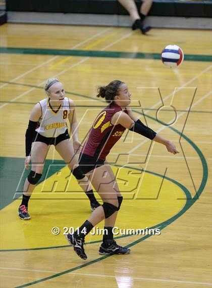 Thumbnail 3 in Schaumburg @ Fremd photogallery.