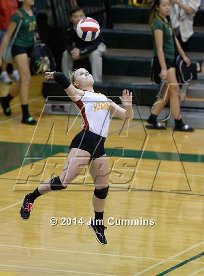 Thumbnail 1 in Schaumburg @ Fremd photogallery.