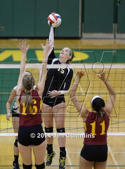 Thumbnail 1 in Schaumburg @ Fremd photogallery.