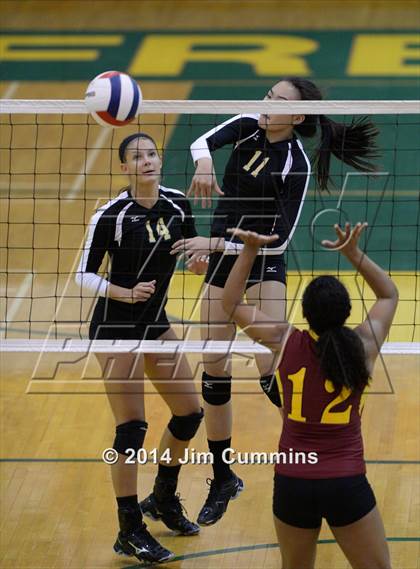 Thumbnail 1 in Schaumburg @ Fremd photogallery.