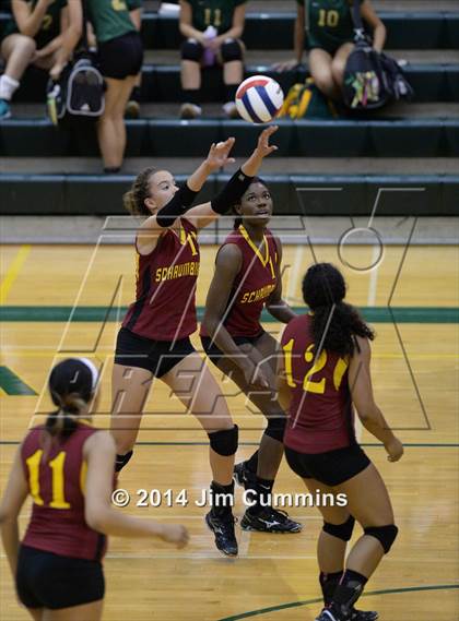 Thumbnail 1 in Schaumburg @ Fremd photogallery.