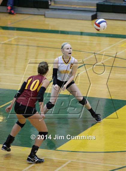 Thumbnail 2 in Schaumburg @ Fremd photogallery.