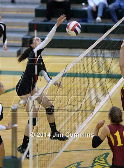 Thumbnail 1 in Schaumburg @ Fremd photogallery.