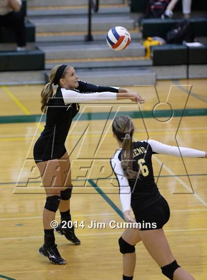 Thumbnail 1 in Schaumburg @ Fremd photogallery.