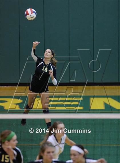 Thumbnail 3 in Schaumburg @ Fremd photogallery.