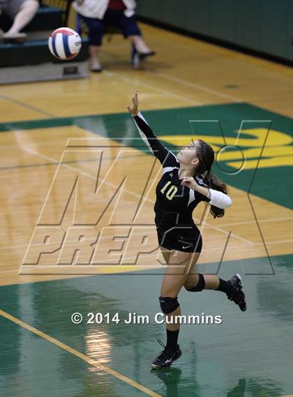 Thumbnail 1 in Schaumburg @ Fremd photogallery.