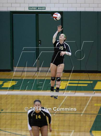 Thumbnail 1 in Schaumburg @ Fremd photogallery.