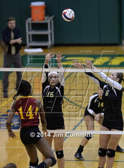 Thumbnail 1 in Schaumburg @ Fremd photogallery.
