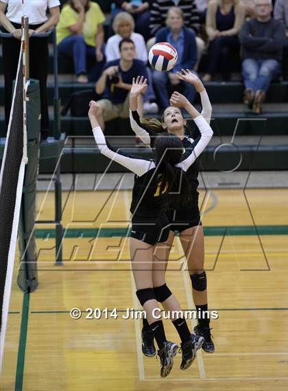 Thumbnail 3 in Schaumburg @ Fremd photogallery.