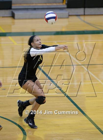 Thumbnail 1 in Schaumburg @ Fremd photogallery.