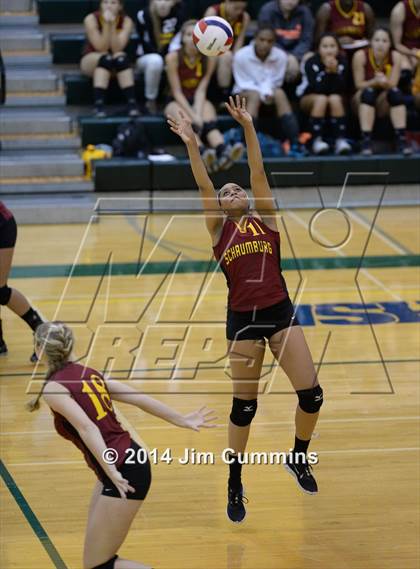Thumbnail 3 in Schaumburg @ Fremd photogallery.