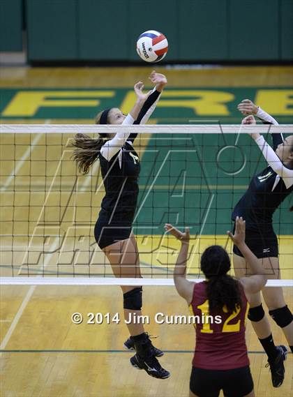 Thumbnail 2 in Schaumburg @ Fremd photogallery.
