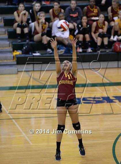Thumbnail 1 in Schaumburg @ Fremd photogallery.