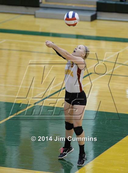 Thumbnail 3 in Schaumburg @ Fremd photogallery.