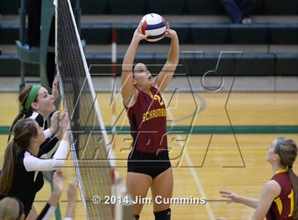 Thumbnail 1 in Schaumburg @ Fremd photogallery.