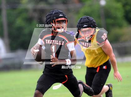 Thumbnail 2 in Umatilla (Orange/Black Preseason Scrimmage) photogallery.