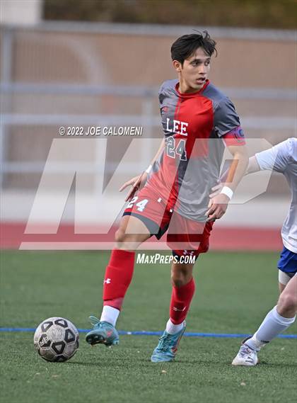 Thumbnail 2 in Lee vs MacArthur [Douglas] photogallery.