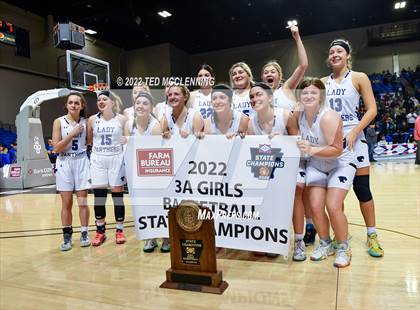 Thumbnail 1 in Lamar vs Bergman (AAA 3A State Final) photogallery.