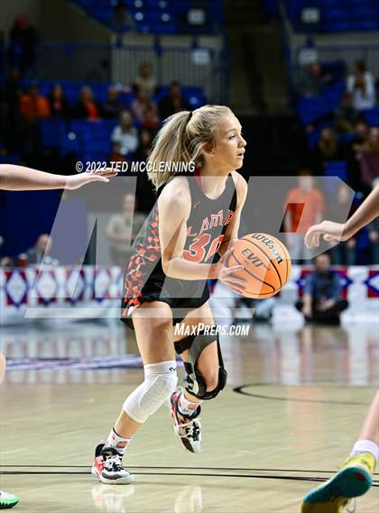 Thumbnail 2 in Lamar vs Bergman (AAA 3A State Final) photogallery.