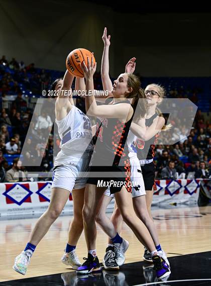 Thumbnail 3 in Lamar vs Bergman (AAA 3A State Final) photogallery.