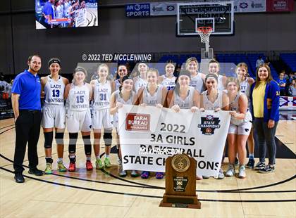 Thumbnail 1 in Lamar vs Bergman (AAA 3A State Final) photogallery.