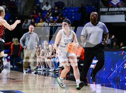 Thumbnail 1 in Lamar vs Bergman (AAA 3A State Final) photogallery.