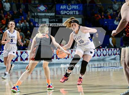 Thumbnail 2 in Lamar vs Bergman (AAA 3A State Final) photogallery.