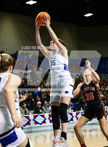 Thumbnail 3 in Lamar vs Bergman (AAA 3A State Final) photogallery.