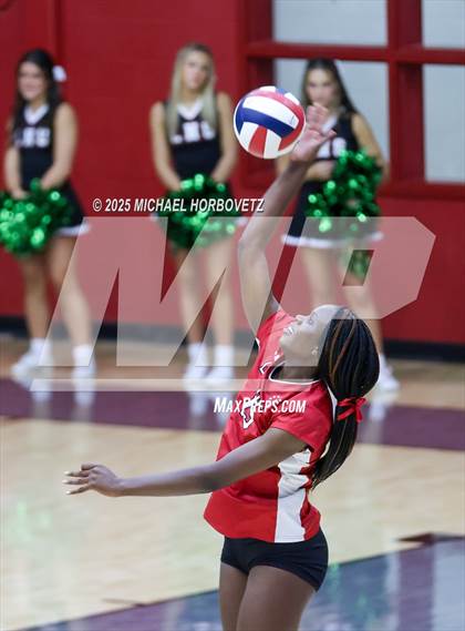Thumbnail 3 in Wakeland @ Lovejoy photogallery.