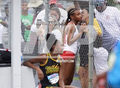 Thumbnail 3 in FHSAA Class 4A Final (Long Jump) photogallery.