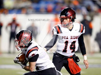 Thumbnail 1 in Warren vs. Pea Ridge (AAA 4A Final) photogallery.
