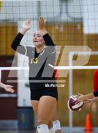 Photo from the gallery "Montgomery @ Piner"