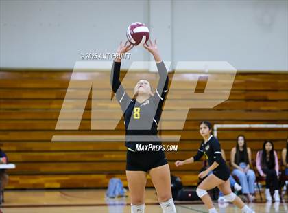 Thumbnail 3 in Montgomery @ Piner photogallery.