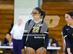 Photo from the gallery "Montgomery @ Piner"