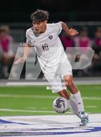 Photo from the gallery "Hamilton @ Pinnacle"