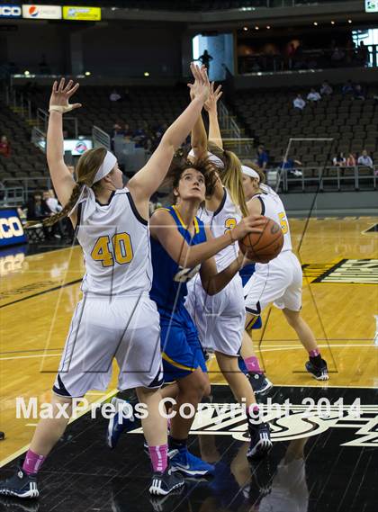 Thumbnail 1 in Newport Central Catholic vs Notre Dame Academy (KHSAA 9th Region Final) photogallery.