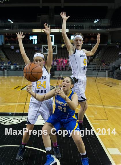 Thumbnail 1 in Newport Central Catholic vs Notre Dame Academy (KHSAA 9th Region Final) photogallery.