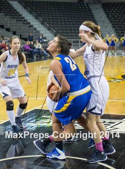 Thumbnail 3 in Newport Central Catholic vs Notre Dame Academy (KHSAA 9th Region Final) photogallery.