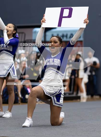 Thumbnail 3 in Galileo - CIF Northern Regional Cheer Championships photogallery.