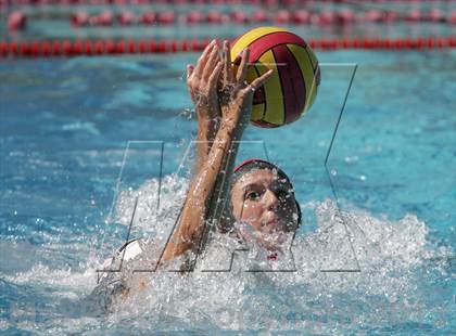 Thumbnail 1 in Aragon @ Burlingame photogallery.