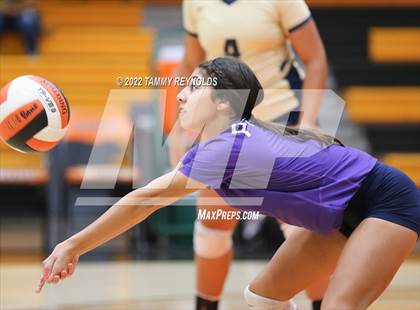 Thumbnail 2 in Perrin-Whitt @ Petrolia photogallery.