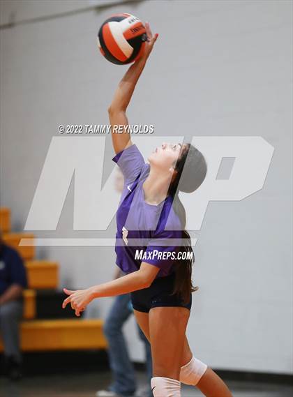 Thumbnail 2 in Perrin-Whitt @ Petrolia photogallery.