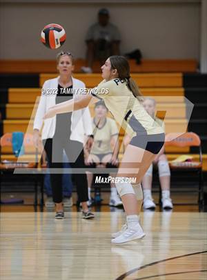 Perrin-Whitt @ Petrolia