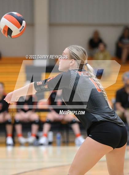 Thumbnail 1 in Perrin-Whitt @ Petrolia photogallery.