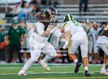 Thumbnail 2 in Canyon @ Crespi photogallery.