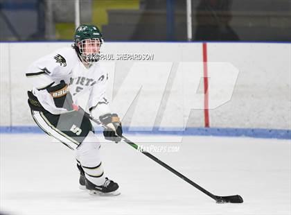 Thumbnail 1 in Mountain Vista Boys Hockey (Extending the Season) photogallery.